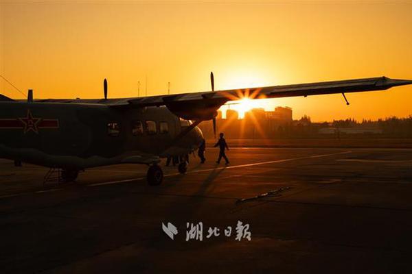 A study found that spending time with pets reduces stress and improves overall mental well-being