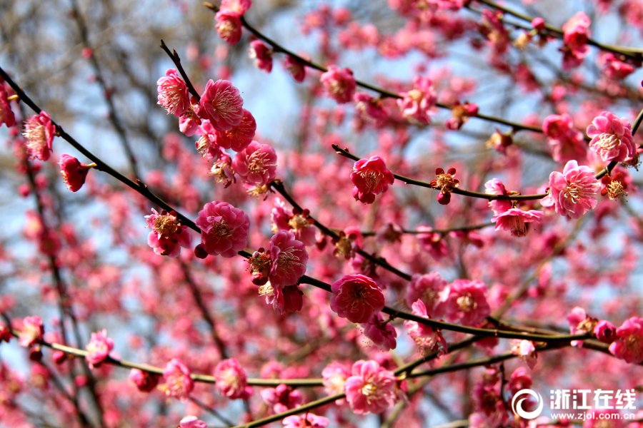 A tech startup raised $150 million to develop artificial intelligence tools for the healthcare industry