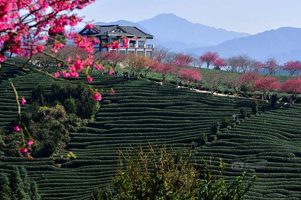 Scientists discovered a new plant species with potential medicinal properties