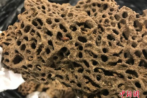 Opera house presents new production of famous opera with modern stage design