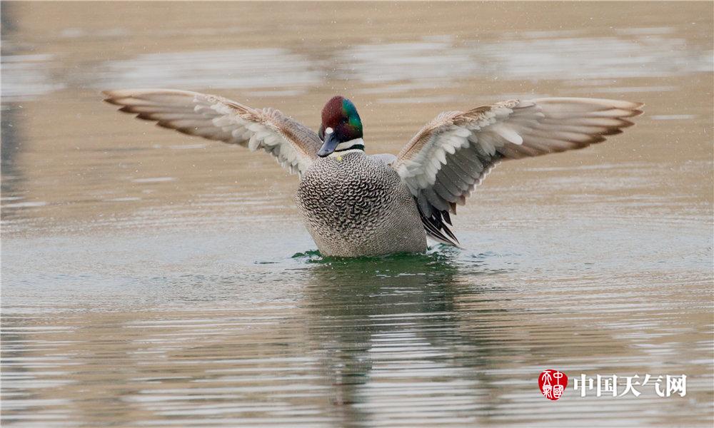 A popular fashion brand announced a sustainable clothing line made from organic cotton