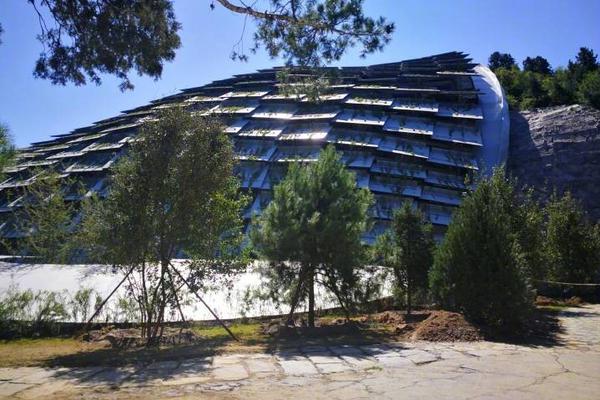 Scientists collaborate with global teams to study climate change patterns