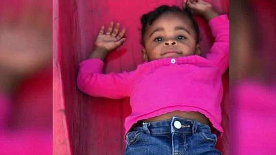 A pet rescue organization hosted an adoption event that found homes for 50 animals in one day