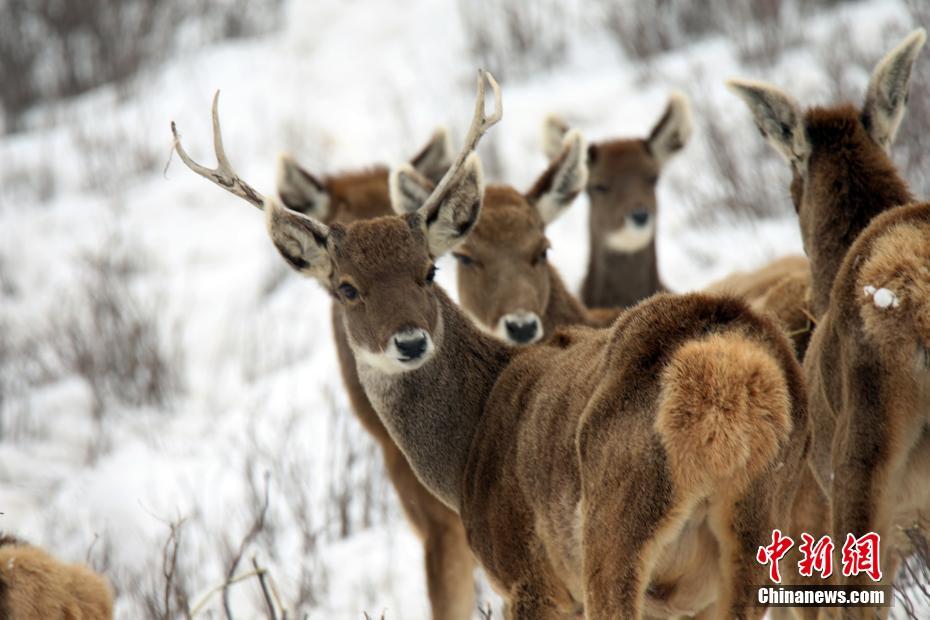 A software company updated its privacy policy to give users more control over their data