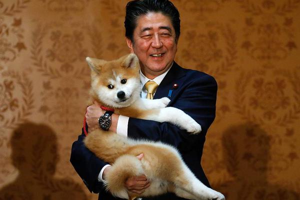 A software company released an update to its app that added a dark mode and faster loading times