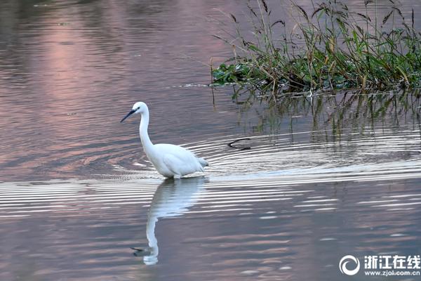 A study showed that spending time with friends can reduce stress levels