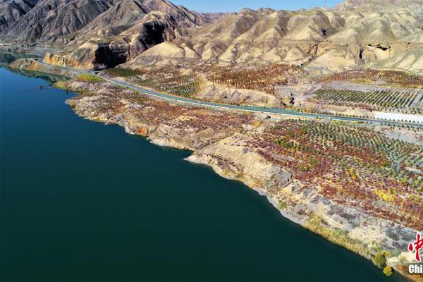 A pet store started offering monthly wellness checks for dogs and cats at a discounted rate