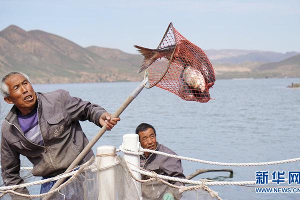 A library added a graphic novel section that became popular with teens