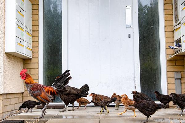 A tech company donated 800 old computers to local schools to upgrade their computer labs