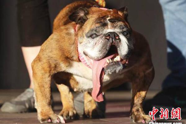 Doctors performed the country’s first successful face transplant on a patient injured in a severe accident