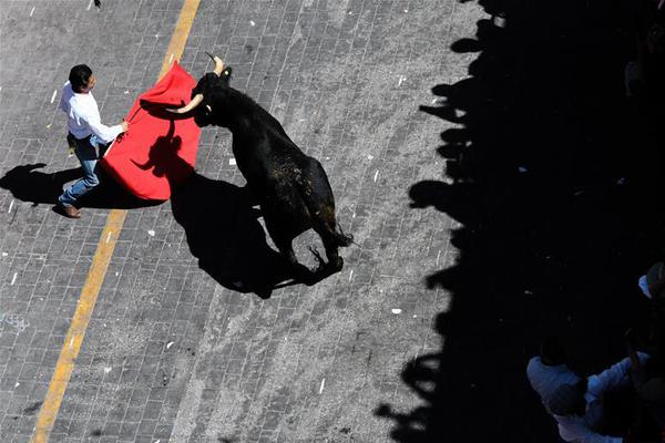 Bus company adds wheelchair accessible vehicles to all routes