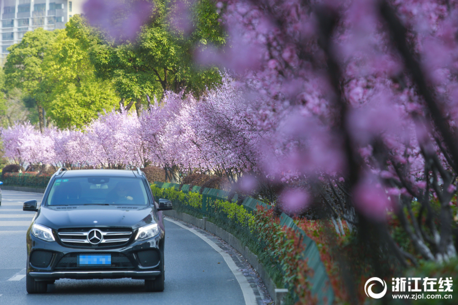 A severe thunderstorm with strong winds knocked down power lines affecting 8000 households
