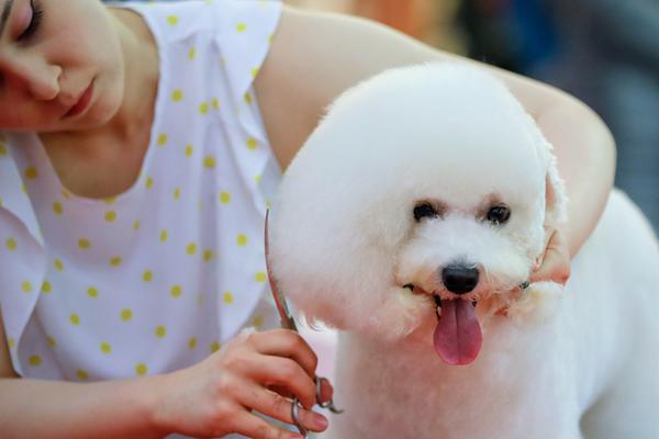 A river in the south overflowed its banks, causing damage to 60 farms and several roads