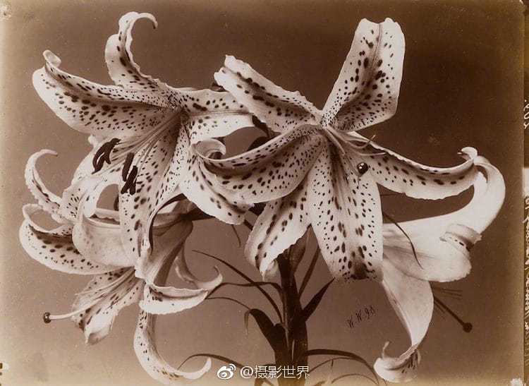 The government released data showing a 3.5% increase in household income