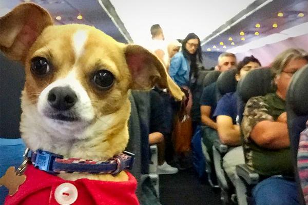 A hotel renovated its lobby to include a modern seating area and coffee bar