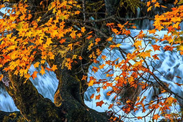 A hospital started a support group for families caring for loved ones with Alzheimer’s disease