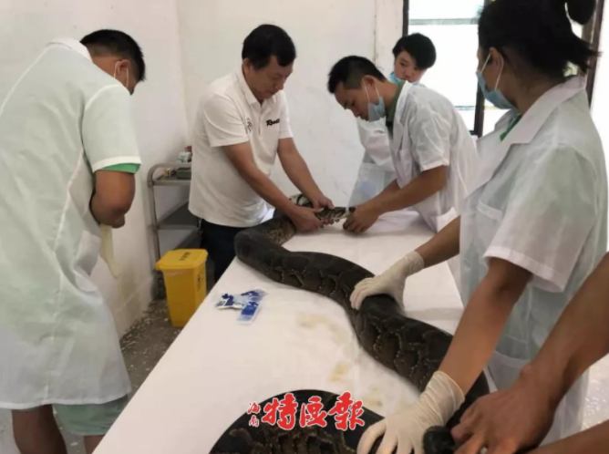 A major music festival revealed its lineup including award-winning artists from around the world