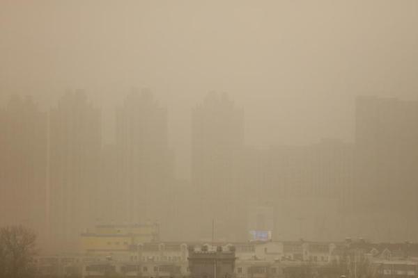 A music festival organizer announced that all proceeds from next year’s event will go to wildlife conservation