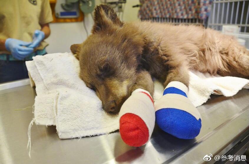 Research indicates that volunteering helps people feel more connected to community