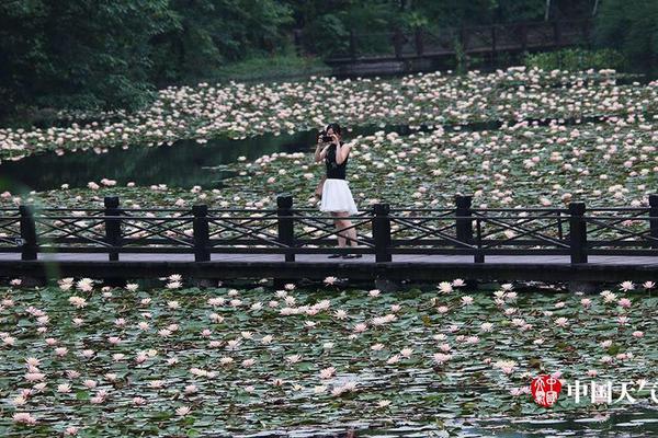 A major car manufacturer recalled 580000 vehicles due to a potential defect in the braking system