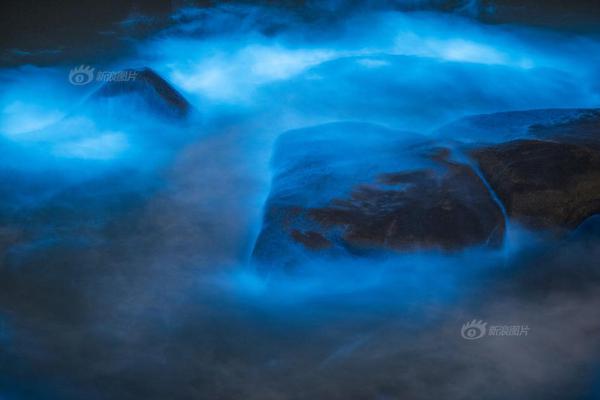 A city council discussed plans to build a new skate park in a public park