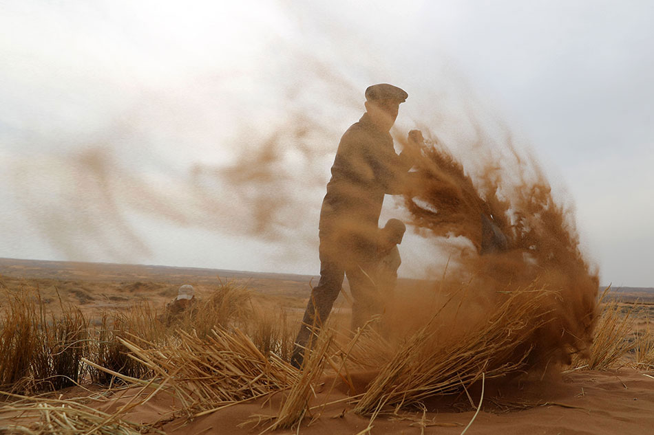 The government offered tax incentives to companies that adopt environmentally friendly practices