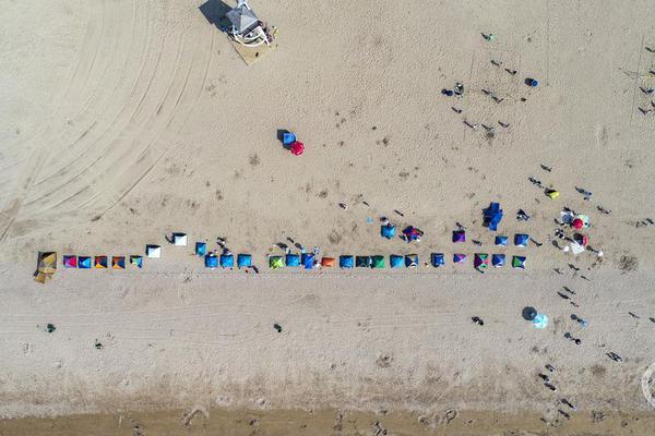 A school started a garden club where students grow vegetables to sell at the farmers market