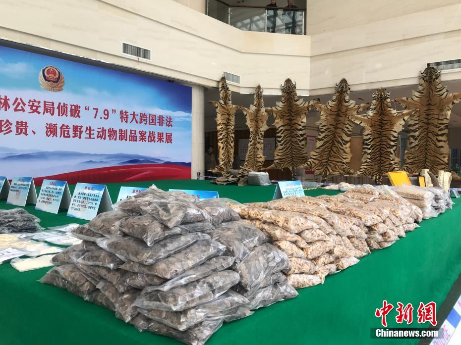 A popular actor starred in a new television series that premiered yesterday