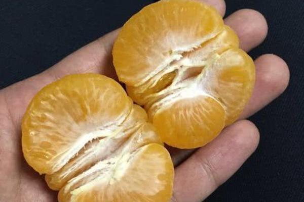 A major airline announced it will add 20 new international routes next year to meet growing demand for travel.