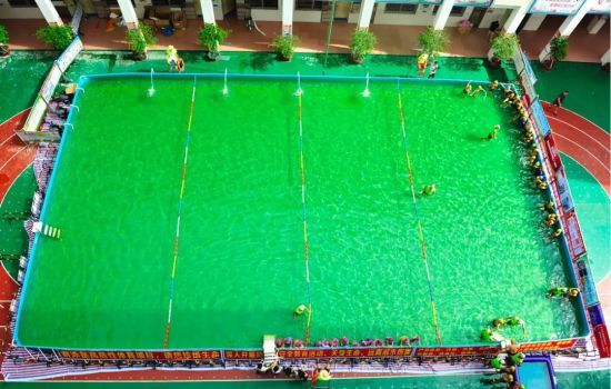 Pet store offers grooming services for exotic pets like birds and reptiles