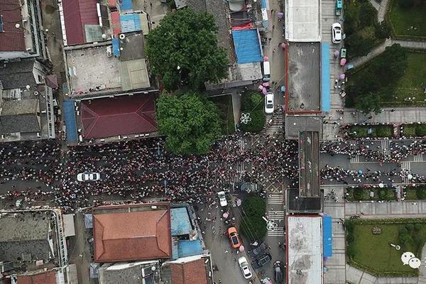 A bookstore offered 20% off all books during a holiday sale, attracting record numbers of customers