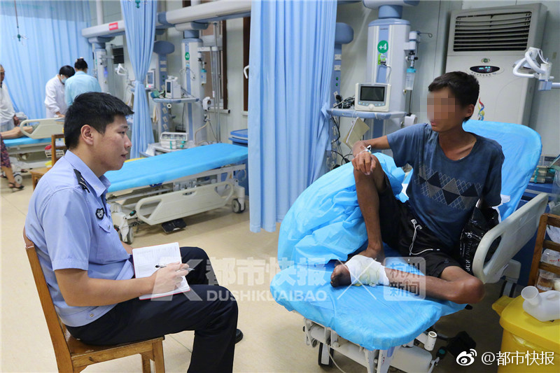 A government agency launched a campaign to encourage people to adopt rescue animals