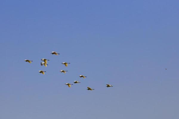 A new study showed that exercising outdoors provides more health benefits than indoor workouts