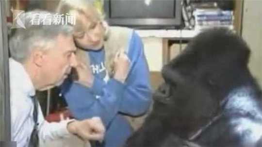 A museum opened a new exhibit about space exploration featuring real astronaut gear