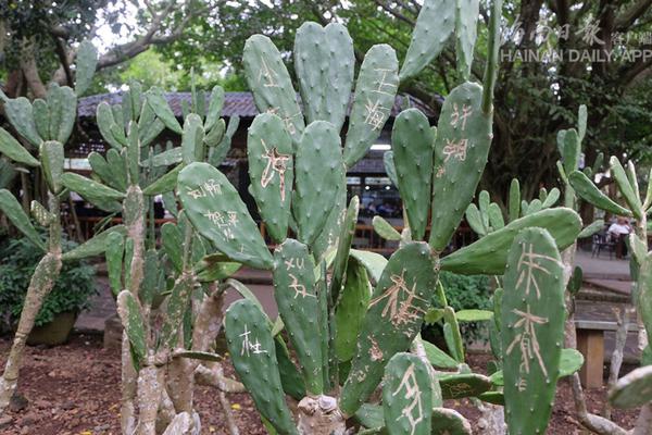 A new social media platform launched this week, focusing on privacy and user control, in response to concerns about data sharing.