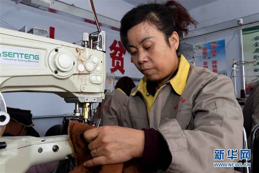 The government launched a new initiative to promote digital literacy among elderly citizens offering free online courses