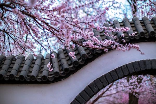 Local residents celebrated the opening of a new community center which includes a gym library and youth club