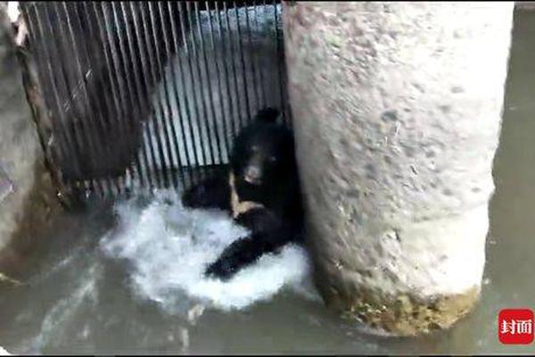 Researchers found that gardening can reduce symptoms of depression by 35%