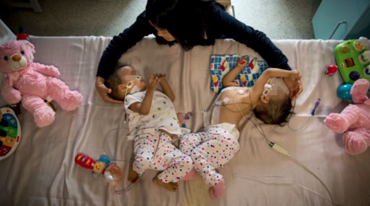 Scientists develop rapid test for detecting foodborne illnesses in 30 minutes