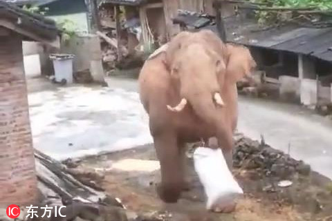 A tornado in the south destroyed a small town’s main street and injured 15 people