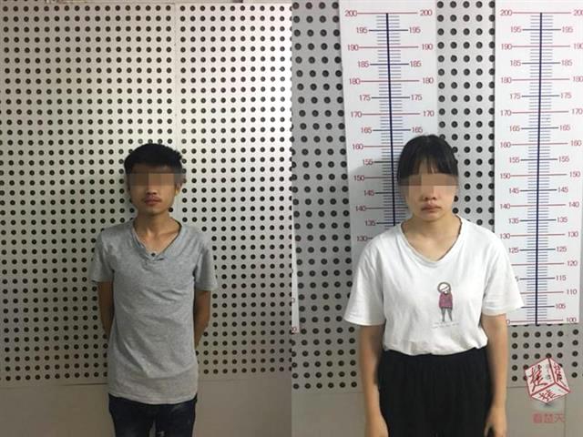 A software company launched a new app that helps users track their fitness goals and progress