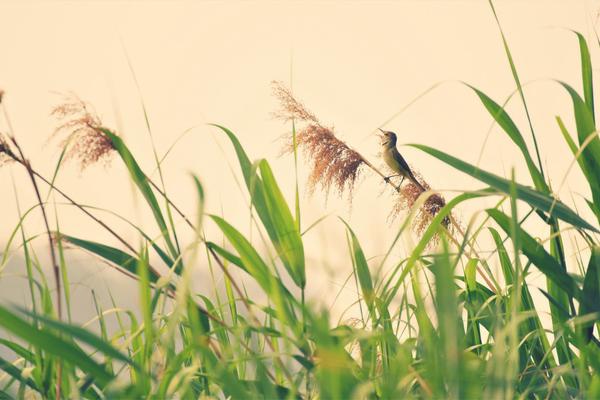 A new study showed that drinking water instead of sugary drinks can reduce the risk of obesity in children by 40%.