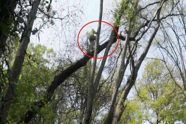 A community garden hosted a