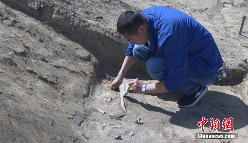 Archaeologists uncovered ancient pottery and tools in a dig site in the northern desert