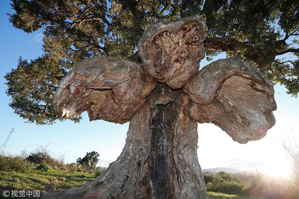 A large bookstore opened a new branch with a coffee shop inside