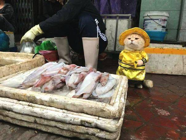 The national weather service issued a warning for heavy rain and possible flooding