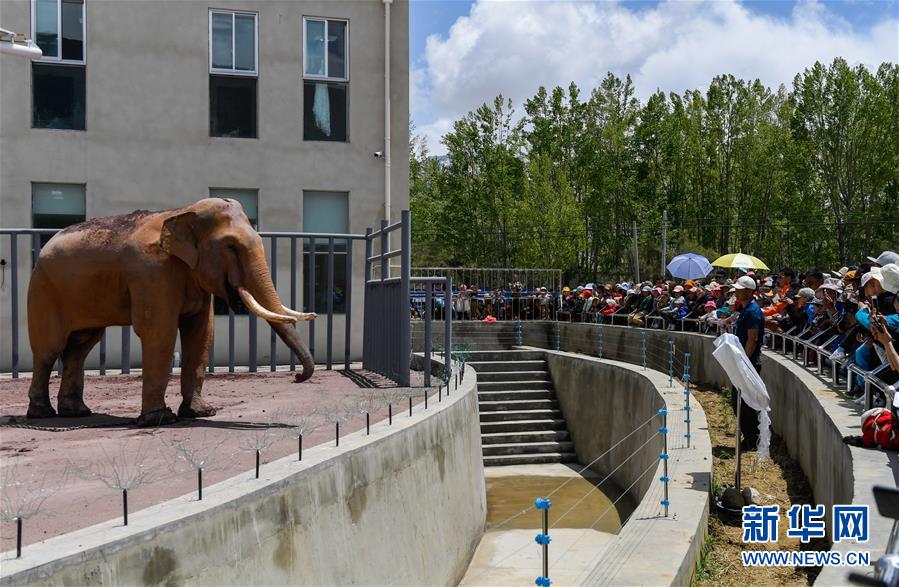 A car crash on a highway caused a 5-mile traffic jam during evening rush hour