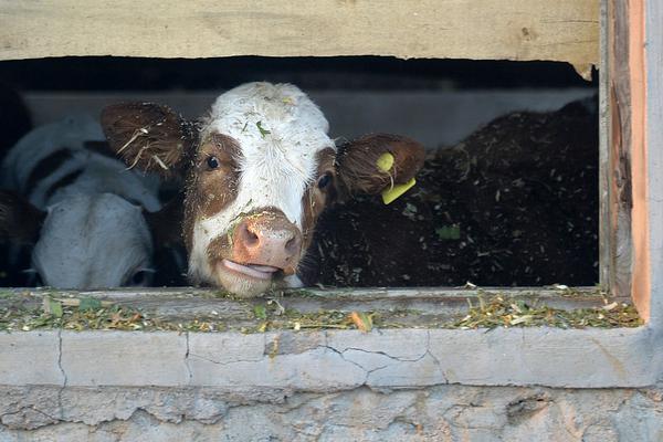 Police solved a cold case using advanced forensic technology