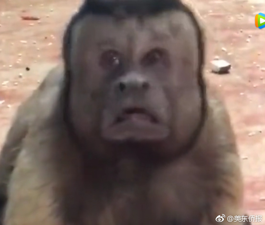 Researchers found that using cloth bags instead of plastic bags saves 1000 plastic bags per year per person