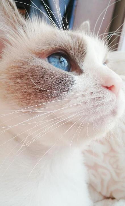 Doctors advised people to get vaccinated ahead of flu season